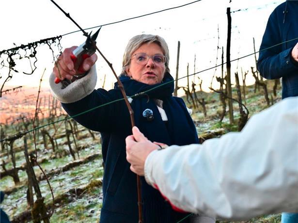 Hat uns beim Rückschnitt der Reben unterstützt: Landwirtschaftsministerin Martine Hansen
