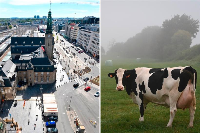 Hauptbahnhof in Luxemburg-Stadt, Weide bei Wecker in der Gemeinde Biwer: Die Luxemburger Gemeinden 
