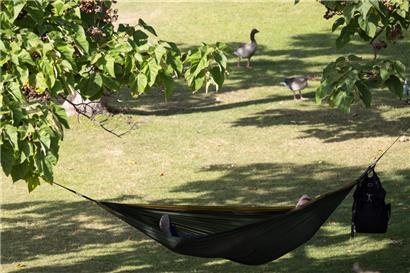 Hauptsache im Schatten: Die Siesta ist nicht nur angesichts des Klimawandels über die spanischen Grenzen hinaus in der Diskussion 
