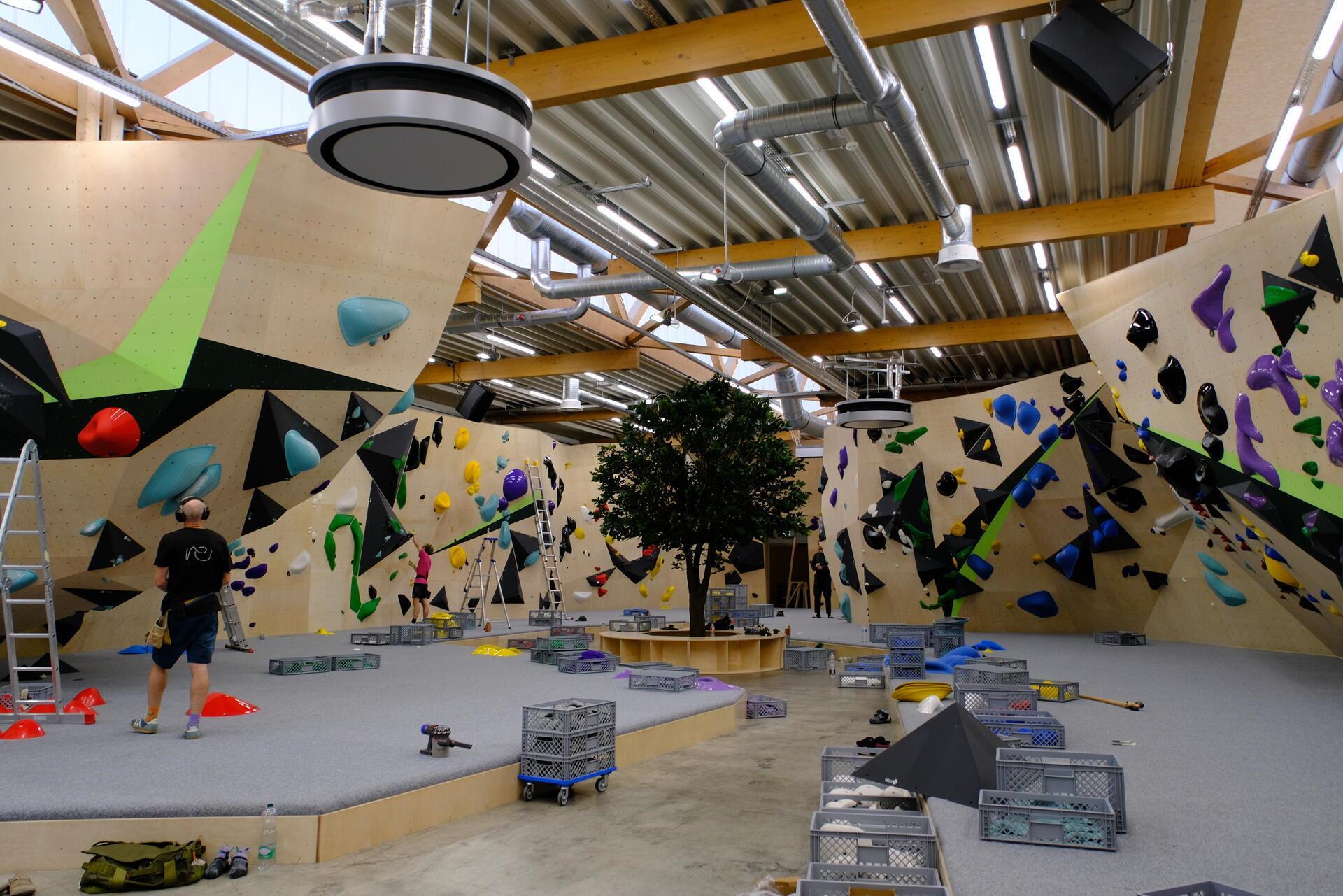 „Boulder Forest“ in Leudelingen: Neue Halle verbindet Klettern mit ...