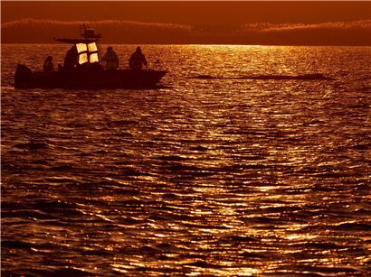 Helfer im Boot beobachten Buckelwal vor der Insel Poel bei Sonnenuntergang in der Ostsee