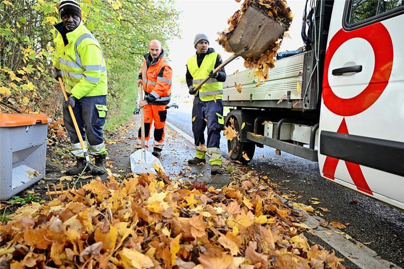 Herbst-Blätter – ein schöner Anblick, doch zugleich eine rutschige Gefahr. Die Beseitigung ist mit viel Arbeit verbunden.

