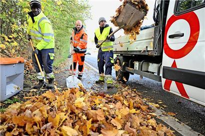 Herbst-Blätter – ein schöner Anblick, doch zugleich eine rutschige Gefahr. Die Beseitigung ist mit viel Arbeit verbunden.
