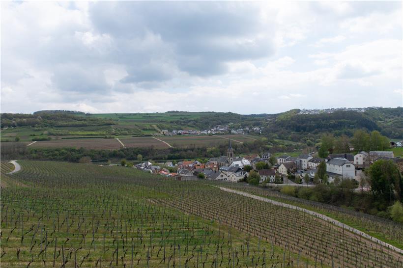 Herrliche Aussicht vom Palmberg aus