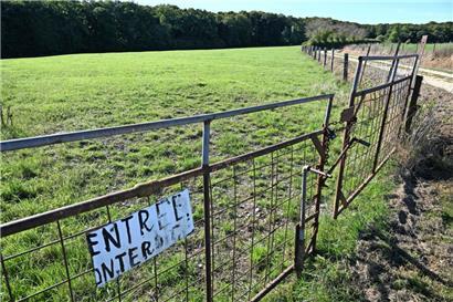 Hier soll der Betrieb mit vorerst 330 Kühen hin. Bergrunter geht es ins Dorf, daneben verläuft der Wanderweg „Camille Gira“. 
