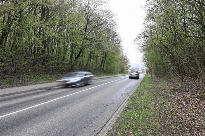 Hier soll die Umgehung gebaut werden, weswegen Teile des Bobësch (links im Bild) abgeholzt werden sollen. Rechts liegt der Zämerbësch. 
