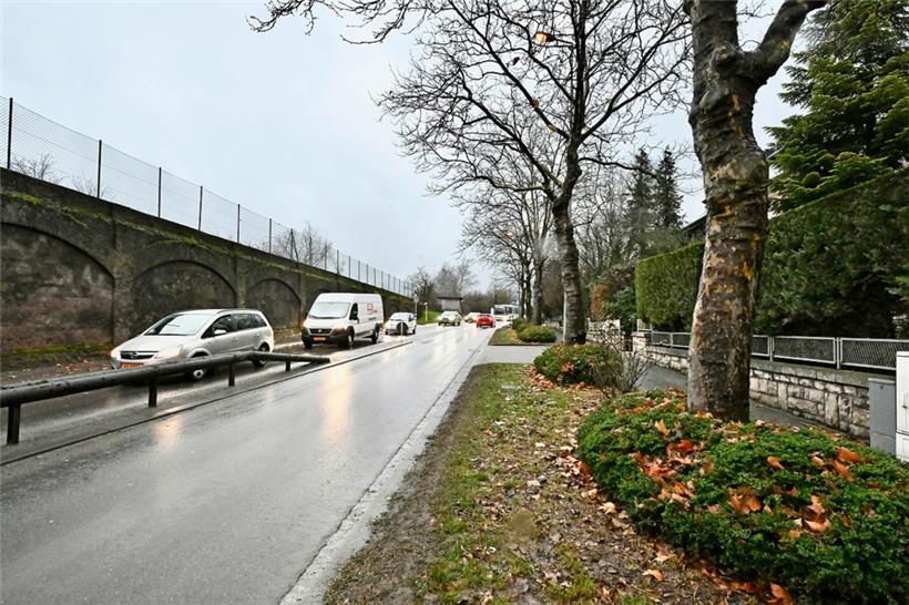 Hier soll die Verbindung mit dem Radweg PC8 entstehen, wobei die bis zu 100 Jahre alten Bäume an dieser Stelle genau wie in der Bessemer-Straße unangetastet bleiben
