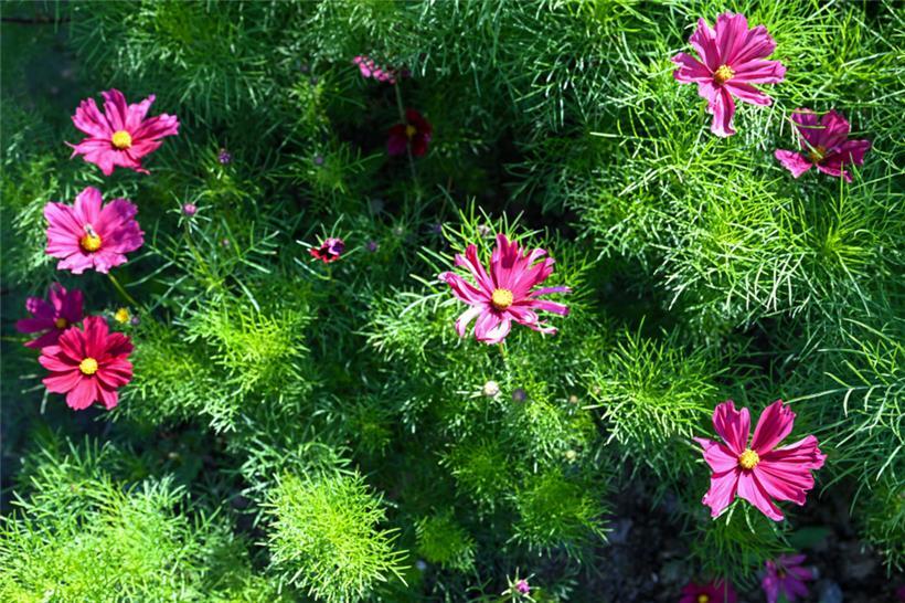 Hildebrand bringt den Teilnehmern in ihren Workshops andere Ästhetikregeln bei