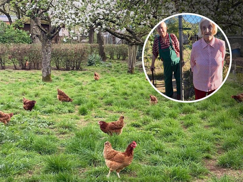 „Hingerwee“: Obst, Gemüse und allerlei Kleintiere prägen dieses kleine Paradies in Schifflingen