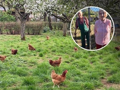 „Hingerwee“: Obst, Gemüse und allerlei Kleintiere prägen dieses kleine Paradies in Schifflingen