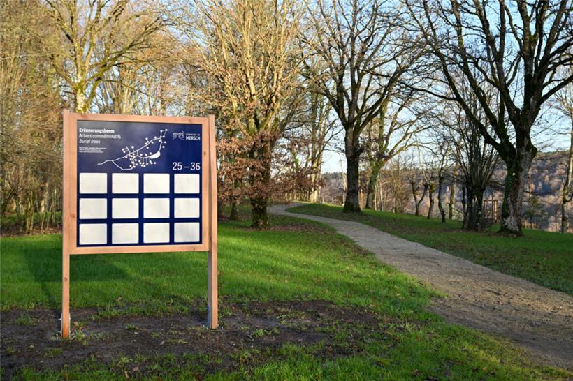 Hinweistafeln weisen darauf hin, welche Personen an welchen Bäumen beigesetzt wu...