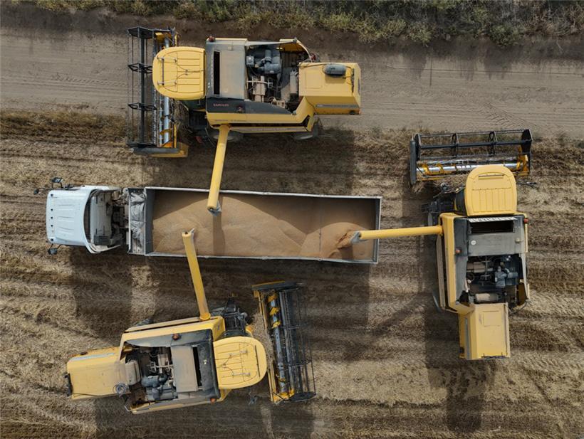 Hitze und Trockenheit beeinträchtigen teils auch die Ernte
