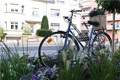 Hübscher Anblick anstelle geparkter Autos: In der JP-Michels-Straße stehen bis Mitte Oktober temporäre Blumenbeete
