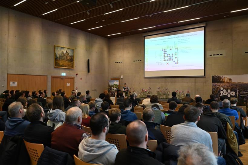 Hülsenfrüchte standen im Mittelpunkt der Tagung
