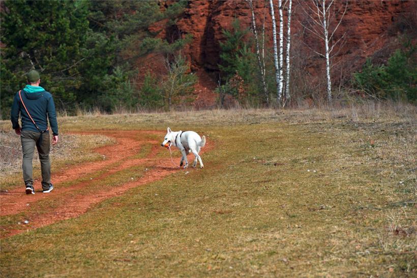 Hunde dürfen nur während fünf Monaten im Jahr ohne Leine auf dem „Lalléngerbierg“ laufen
