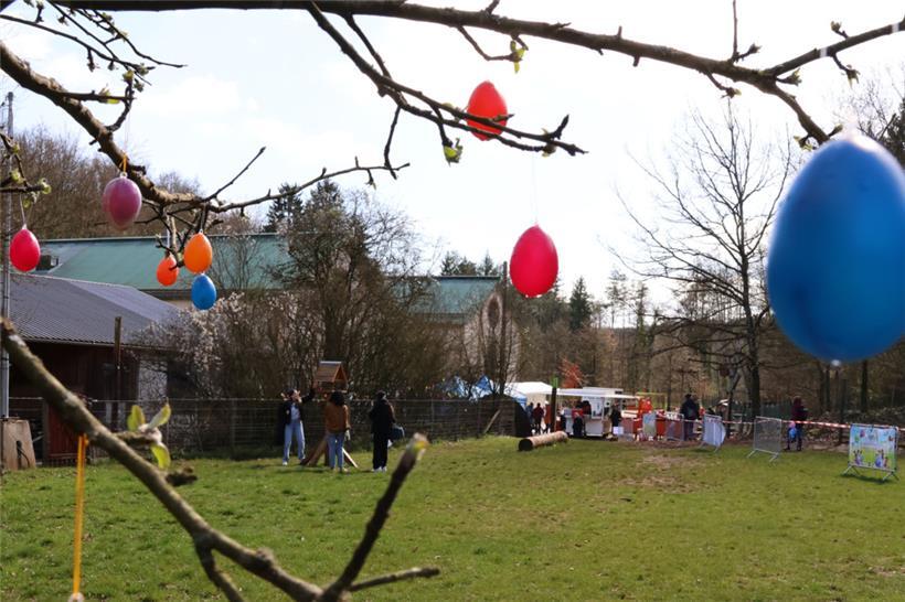 Im Ellergronn dreht sich am Ostersonntag alles um bunte Eier
