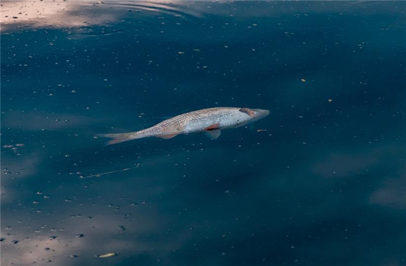 Im Industriepark ist alles schiefgelaufen, was konnte – mehrfach (Symbolfoto)
