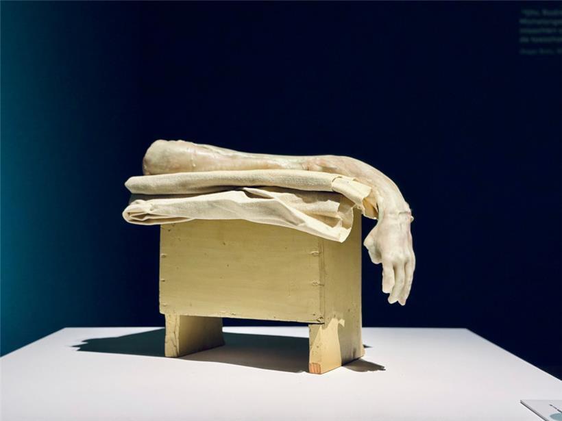 Im Kontrast zu Rodin: Werk von Berlinde de Bruyckere
