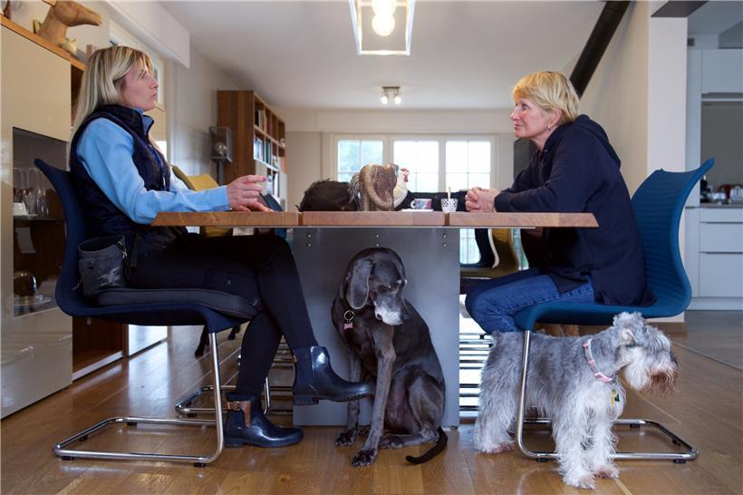 Im „Maison Dog“ kommen Hunde unter. Als Tagesbetreuung und im Urlaub können zehn Vierbeiner aufgenommen werden. 
