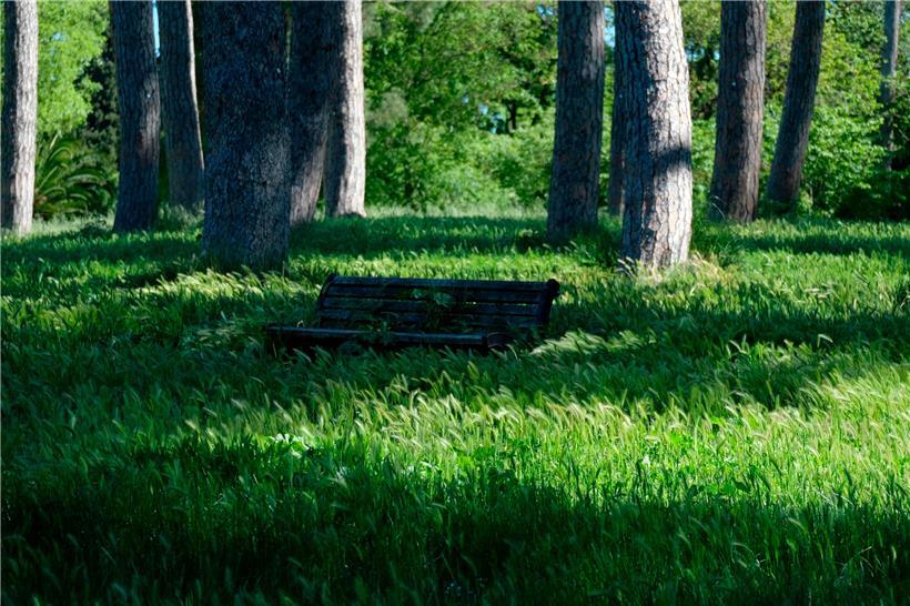 Im Park der Villa Doria Pamphili in Rom sind sogar die Sitzbänke zugewachsen: Im schwer von der Pandemie betroffenen Italien dürfen die Menschen ihre Verwandten wieder besuchen
