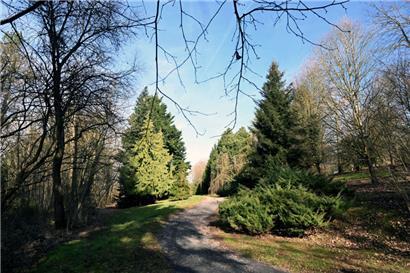 Im Rahmen der Ausbildung zum Landschaftsgärtner wurden die ersten Bäume und Sträucher vor 30 Jahren gepflanzt – der Beginn des Arboretums
