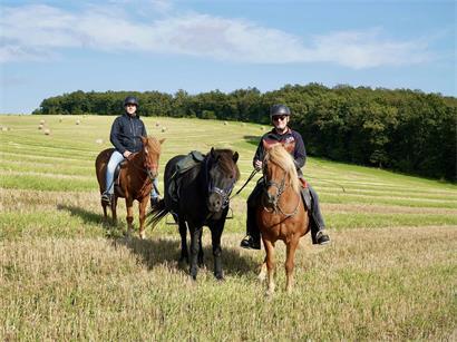 Reitführer Daniel Schmidt auf Islandpferd in der Natur, entspanntes Reiten und Verbindung zwischen Mensch und Natur genießen