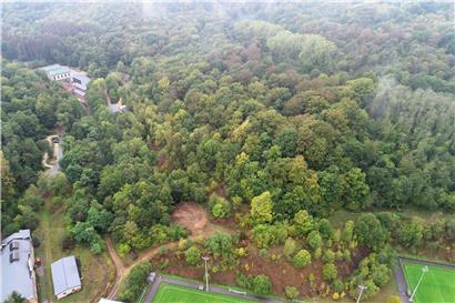 Im Wald zwischen dem „Ellergronn“ und Audun-le-Tiche befinden sich die Überreste einer mittelalterlichen Hochburg – verborgen unter Bäumen, Erde, Moos und Laub 

