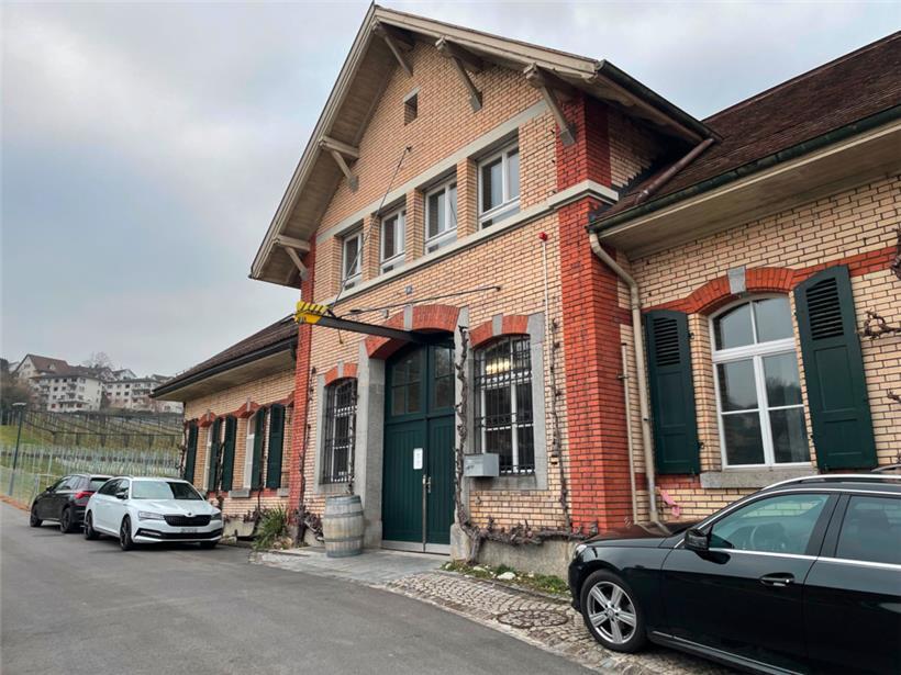 Im Weinbauzentrum Wädenswil wird immer noch Wein vom Rebstock 58 hergestellt