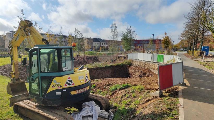 Im neuen Wobrécken-Park wird die Platane ihre neue Heimat finden
