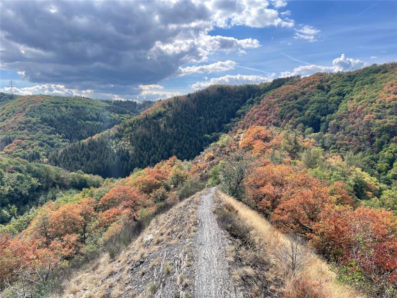 Im wahrsten Sinne des Wortes einer der Höhepunkte der Rundwanderroute Hoscheid: der Bergkamm „Molberlee“
