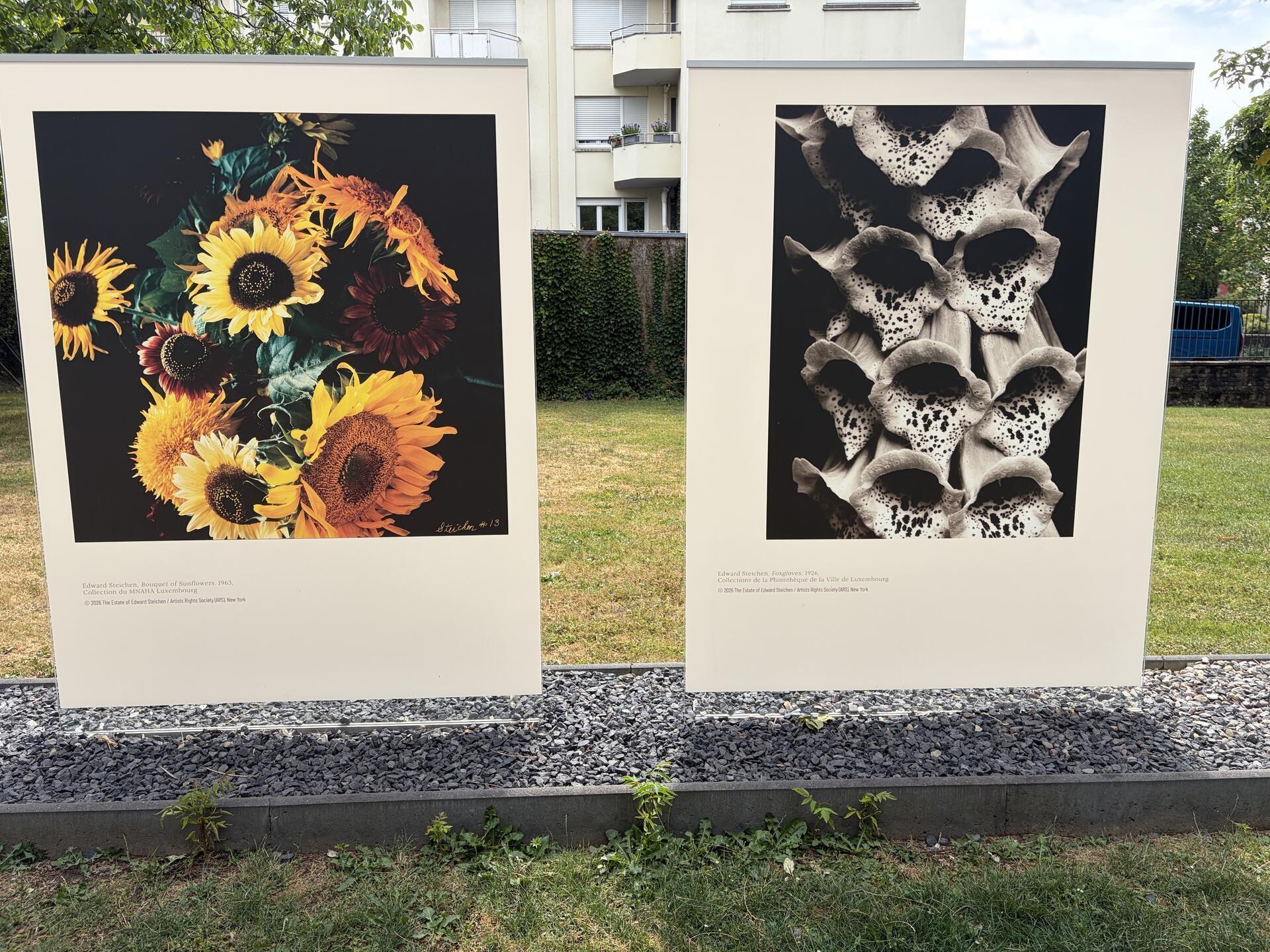 Ein Hauch von Arles im Park Merl: „La nature“ von Edward Steichen