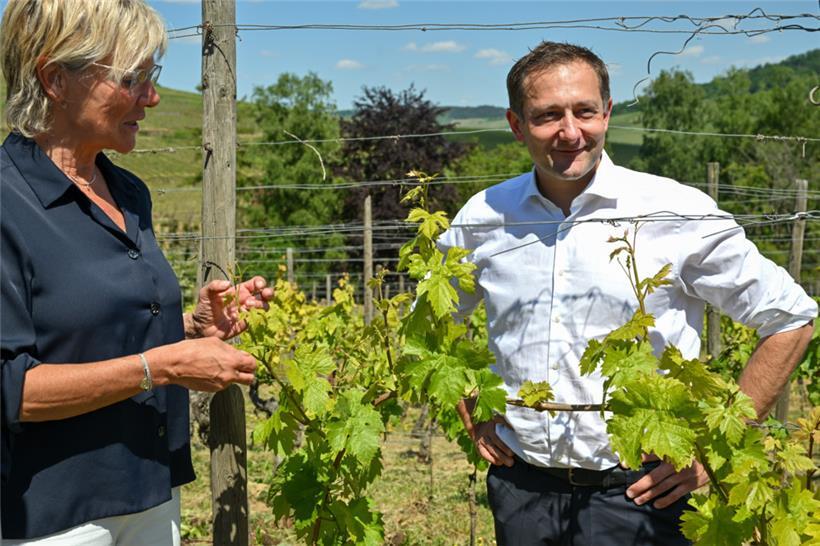 In Begleitung der luxemburgischen Landwirtschaftsministerin Martine Hansen besuchte EU-Agrarkommissar Christophe Hansen am Dienstag einen Winzerbetrieb in Ahn, wo er Details seines administrativen Vereinfachungspakets für die Landwirte in der EU vorstellte 
