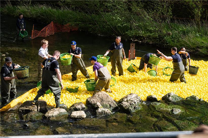 Team in Gummistiefeln sammelt nach Zieleinlauf spielerisch gelbe Plastikenten mit Wäschekörben ein