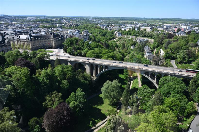 In Luxemburg-Stadt sind offiziell 23.126 Bäume verzeichnet – die Stadtverwaltung sieht noch viel Luft nach oben
