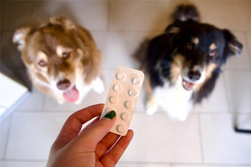 In Luxemburg entscheidet jede Praxis selbst, wie teuer ihre Leistungen sein sollen
