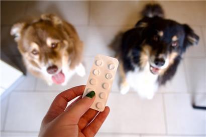 In Luxemburg entscheidet jede Praxis selbst, wie teuer ihre Leistungen sein sollen
