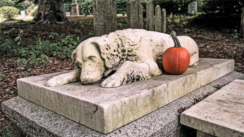 In Luxemburg gibt es keine letzte Ruhestätte für Haustiere. Dennoch tut sich etwas in Sachen Tierbestattungen. 
