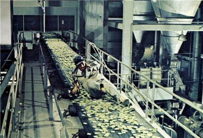 In „Soylent Green“ ist Charlton Heston einem Geheimnis auf der Spur
