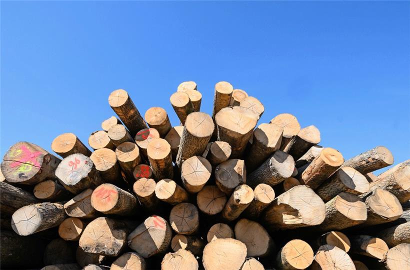 In den Ländern des Balkans wird noch viel mit Holz geheizt
