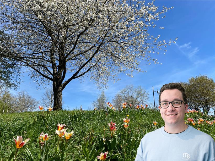Frühlingserwachen mit blühenden Blumen und sonnigem Himmel in einer grünen Landschaft