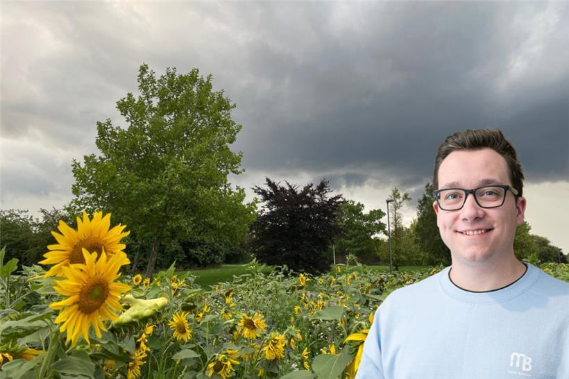 In den letzten Tagen ließ selbst so manche Sonnenblume den Kopf hängen
