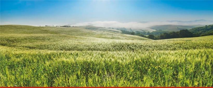 In der Broschüre werden zehn Handlungen vorgestellt, die im Alltag gut umsetzbar sind
