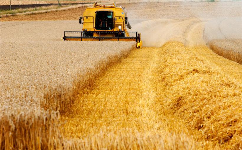 In der Europäischen Union rechnen Verbände und Experten derzeit nicht mit Engpässen bei Lebensmitteln
