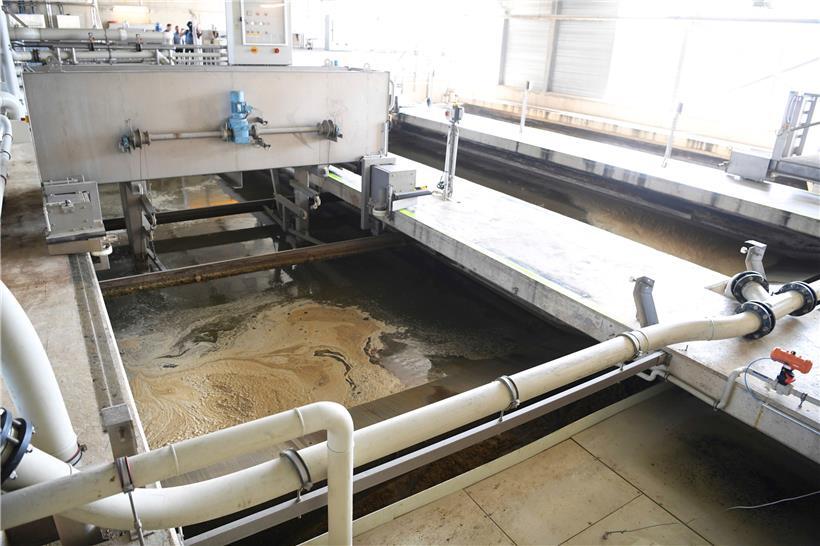 In der Kläranlage in Beggen gelangte verschmutztes Wasser in die Alzette, was ein massives Fischsterben auslöste
