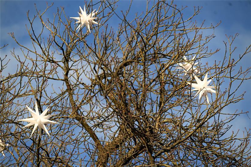 In der Krone eines großen Baumes bei der Kathedrale hängen bereits dekorative St...