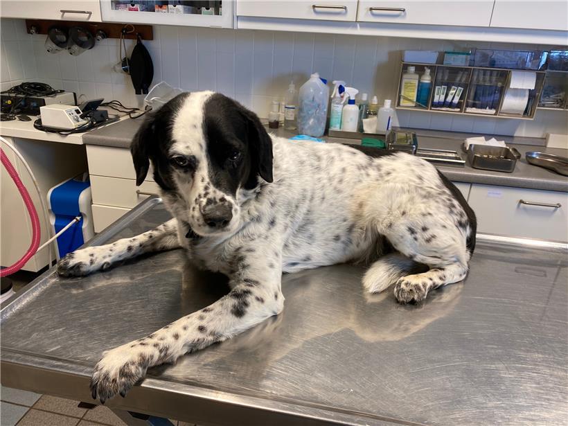 In der Praxis werden nur noch Notfälle behandelt