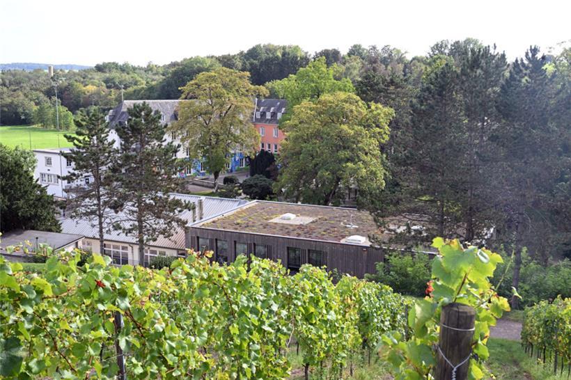 In der Sicherheitseinheit des sozialpädagogischen Zentrums in Dreiborn habe es keinen freien Platz mehr gegeben
