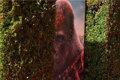 In der Welt von „Planet of the Apes“ halten Affen Menschen als Sklaven
