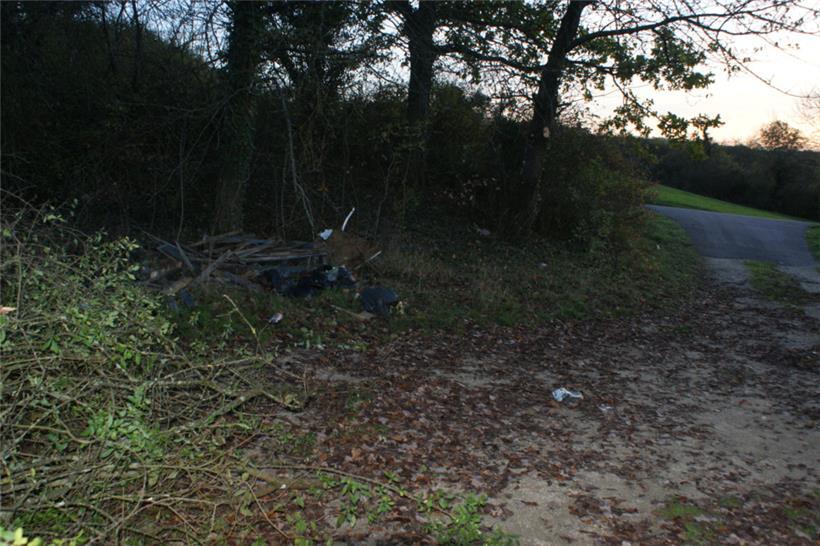 In dieser Hecke am Rande der L136 wurden die Leichenteile gefunden
