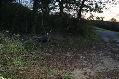 In dieser Hecke am Rande der L136 wurden die Leichenteile gefunden
